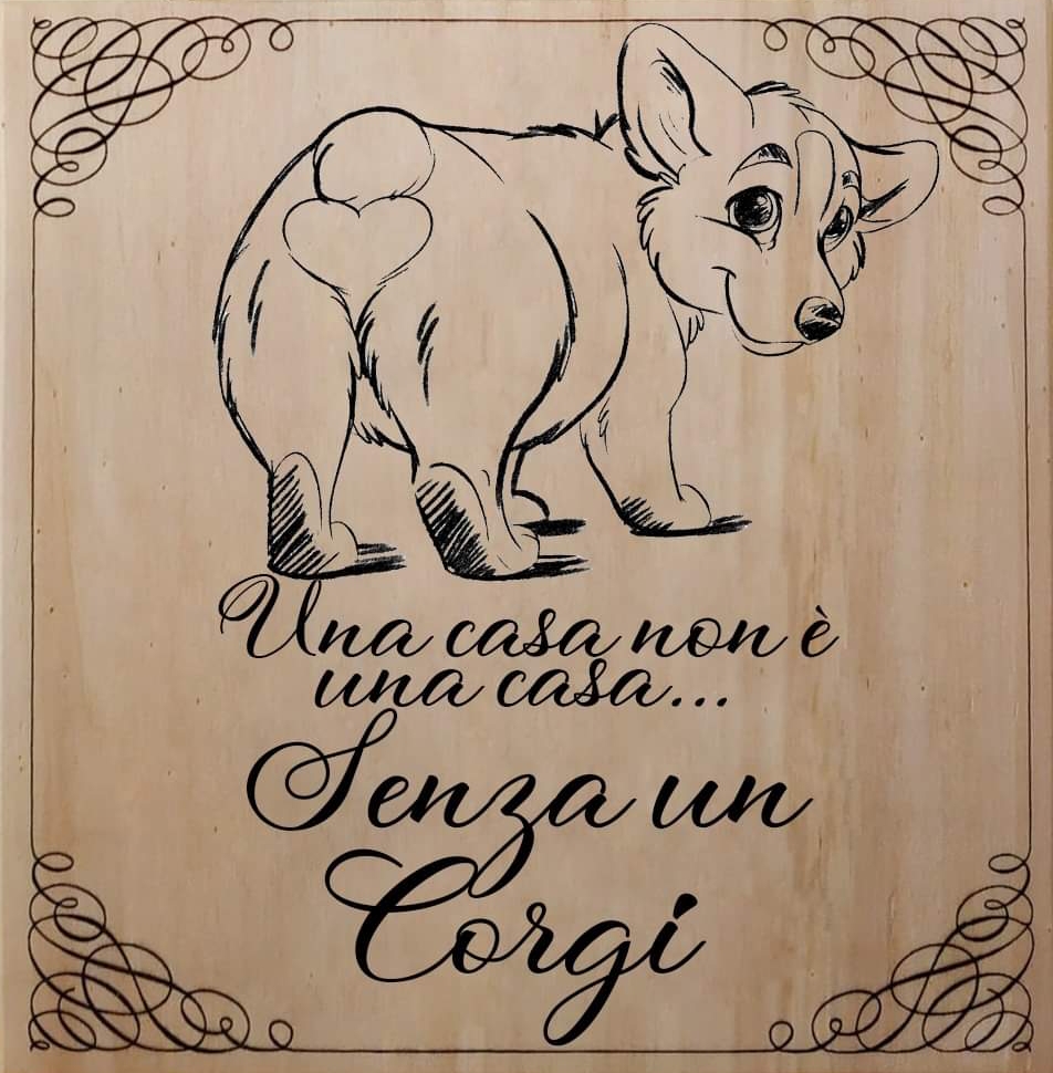 Scegli un Corgi per la tua famiglia Allevamento Oracle Kennel